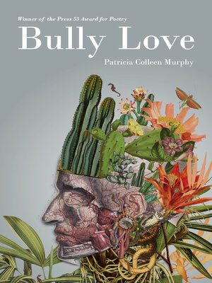 cover image of Bully Love